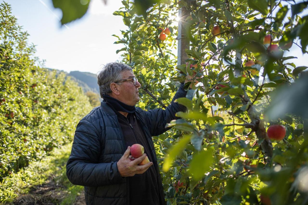 Kircherhof بريسّانوني المظهر الخارجي الصورة